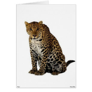 Carte Leopard