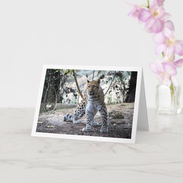 Carte Léopard en forêt (Orchidée)