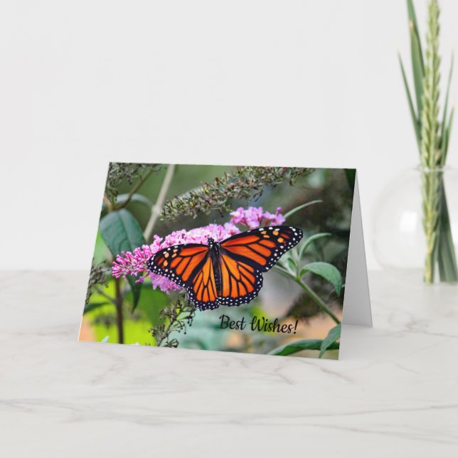 Carte l'épousant de félicitations du monarque 5100 (Devant)