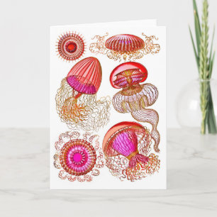Carte Leptomedusae de méduse en rose vif