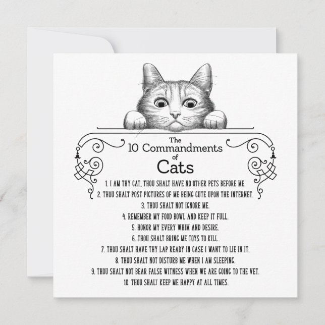 Carte Les 10 commandements de chats amusants (Devant)