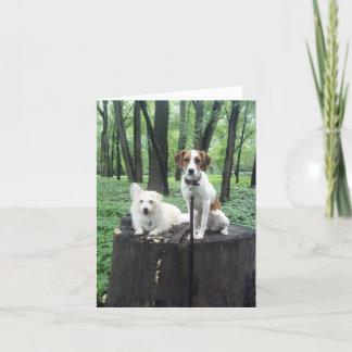 Carte Les amis cardent pour toujours