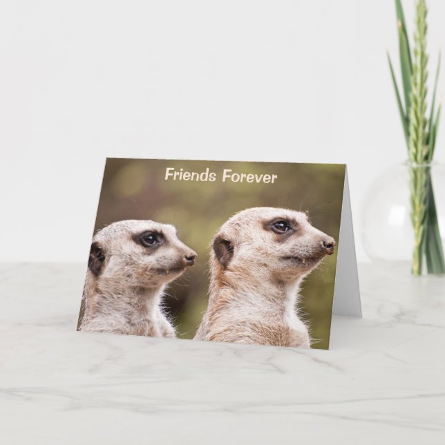 Carte Les Amis de Meerkat (Devant)