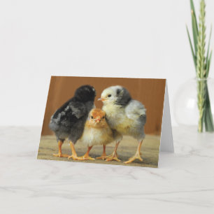 Carte Les amis s'unissent