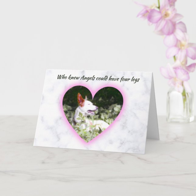 Carte Les Anges Ont Quatre Jambes Sympathie Pet (Orchidée)