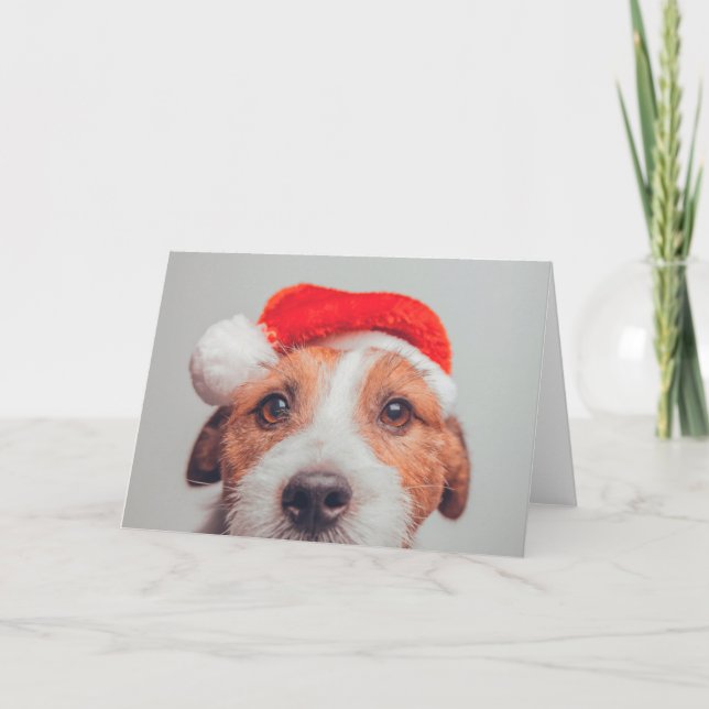 Carte Les bébés animaux les plus mignons | Jack Russell  (Devant)