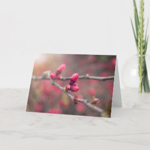 Carte Les bourgeons du printemps