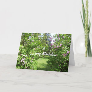 Carte Les buissons lilas d'anniversaire du printemps