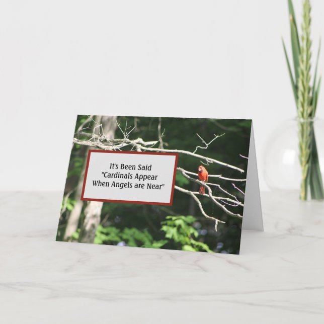Carte Les Cardinaux Sont Près Des Anges Apparaissent (Devant)