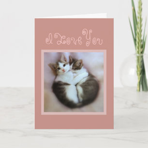 Carte Les chatons en amour