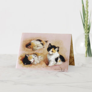 Carte LES CHATONS S'éveillent