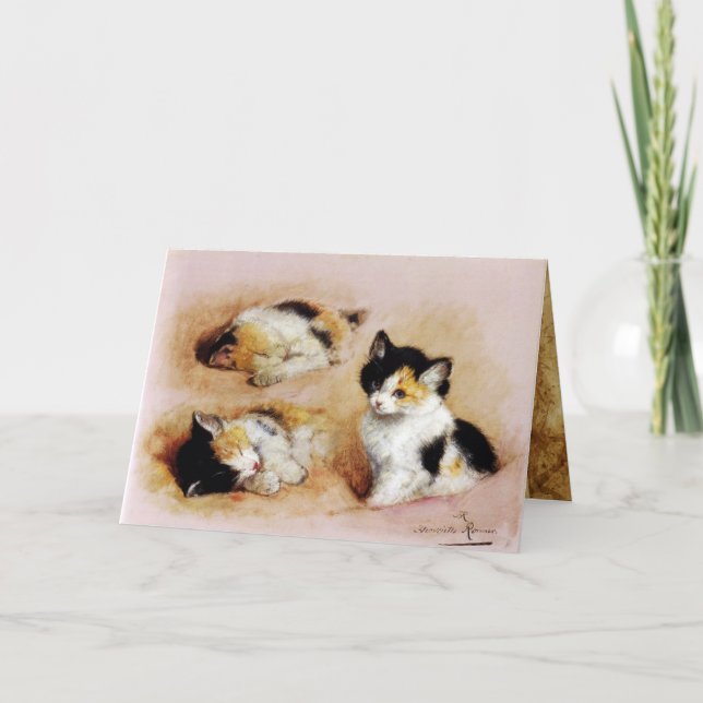 Carte LES CHATONS S'éveillent (Devant)