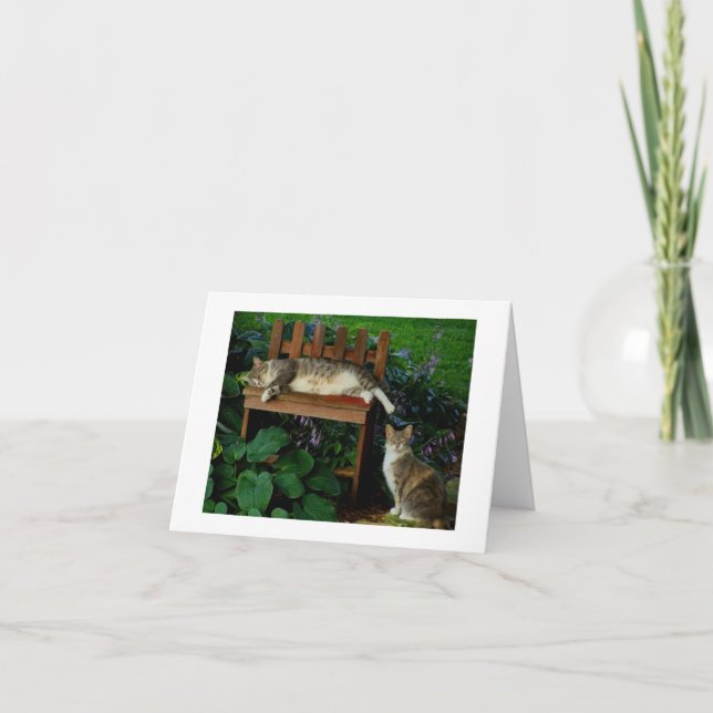 Carte Les chats dans le jardin (Devant)