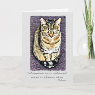 Carte Les chats ont touché votre âme Pet Sympathy Card