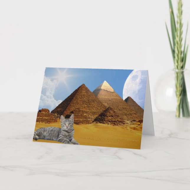 Carte Les chats règnent ! (Devant)
