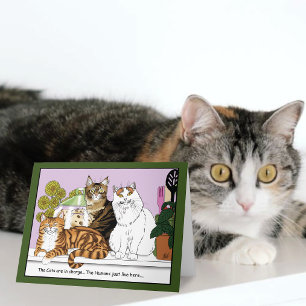 Carte Les chats sont aux commandes