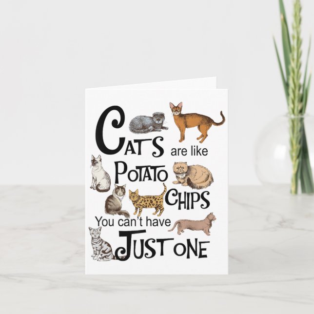 Carte Les chats sont comme des chips de tomates qu'on ne (Devant)