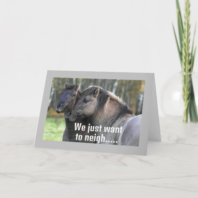 Carte LES CHEVAUX cool VOISINENT "JOLI ANNIVERSAIRE" (Devant)