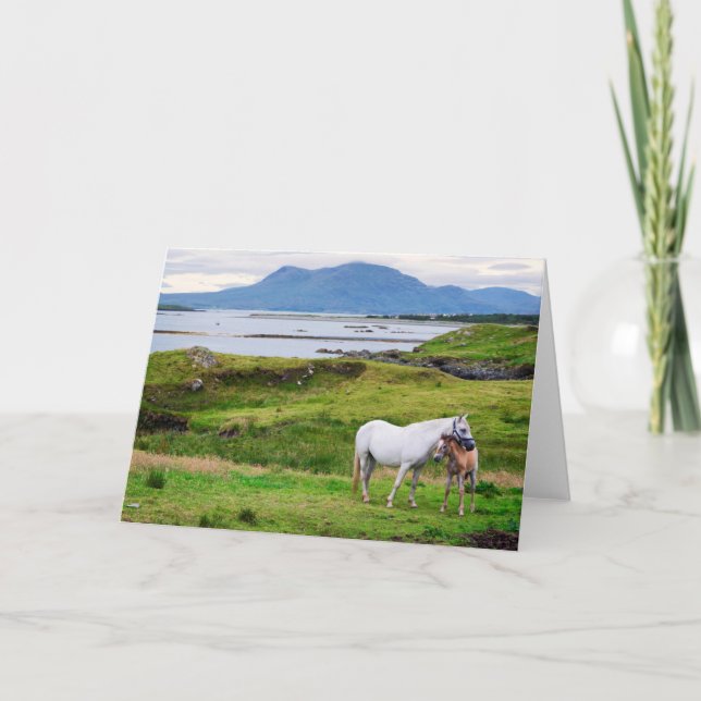 Carte Les chevaux de Connemara | Galway, Irlande (Devant)