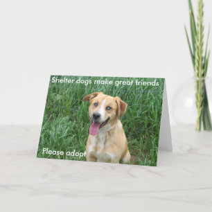 Carte Les chiens d'abri font les grands amis 7703