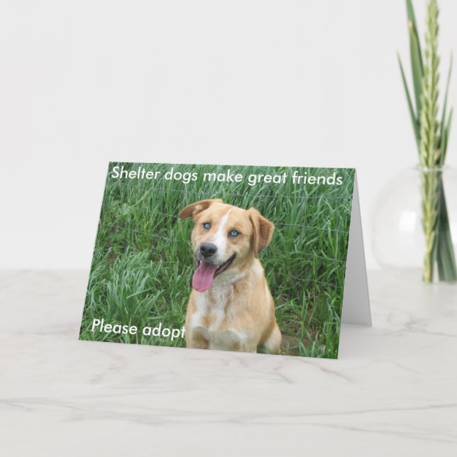 Carte Les chiens d'abri font les grands amis 7703 (Devant)