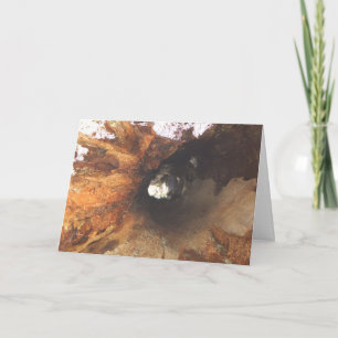 Carte Les choses sont serrées