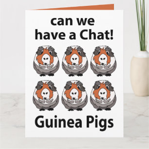 Carte Les cochons d'Inde pouvons-nous discuter drôles co