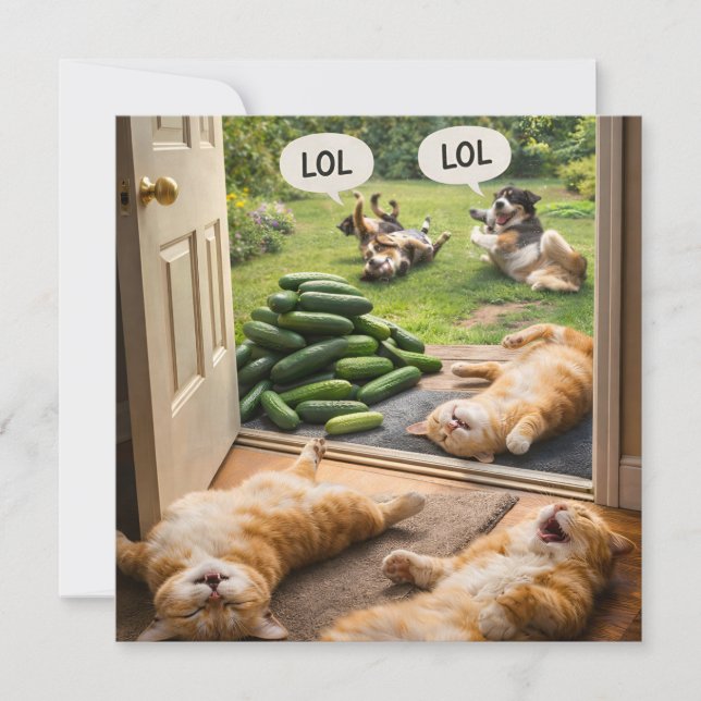 Carte Les concombres canular sur faux (Devant)