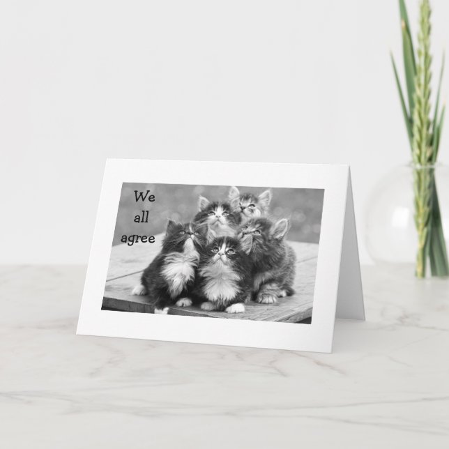 CARTE LES CUISINES SONT TOUTES D'ACCORD POUR QUE VOUS AY (Devant)