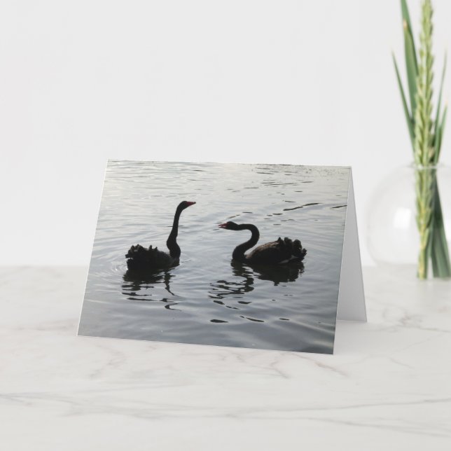Carte Les cygnes noirs saluent (Devant)