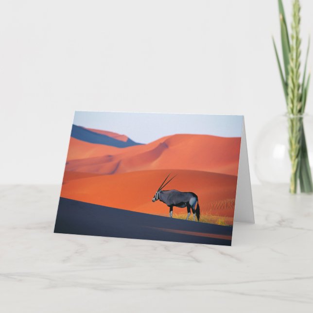 Carte Les déserts | Namib Desert Oryx (Devant)