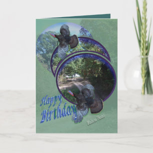 Carte Les dindes sauvages vol-personnalisent dedans