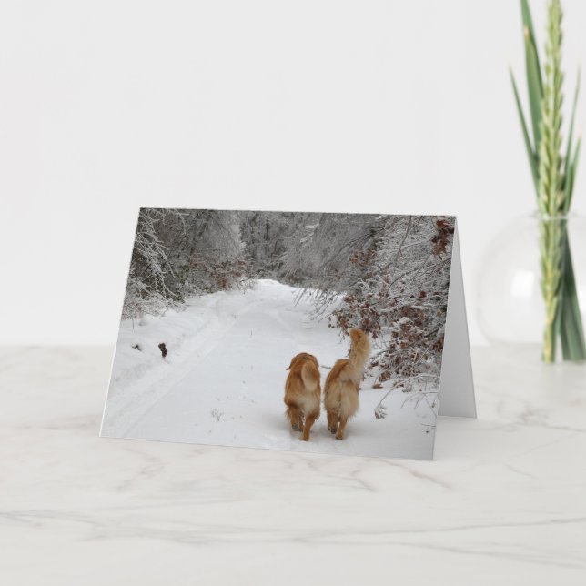 Carte Les Épouses de neige (Devant)