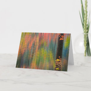 Carte Les érables Parc d'état de Silver Falls