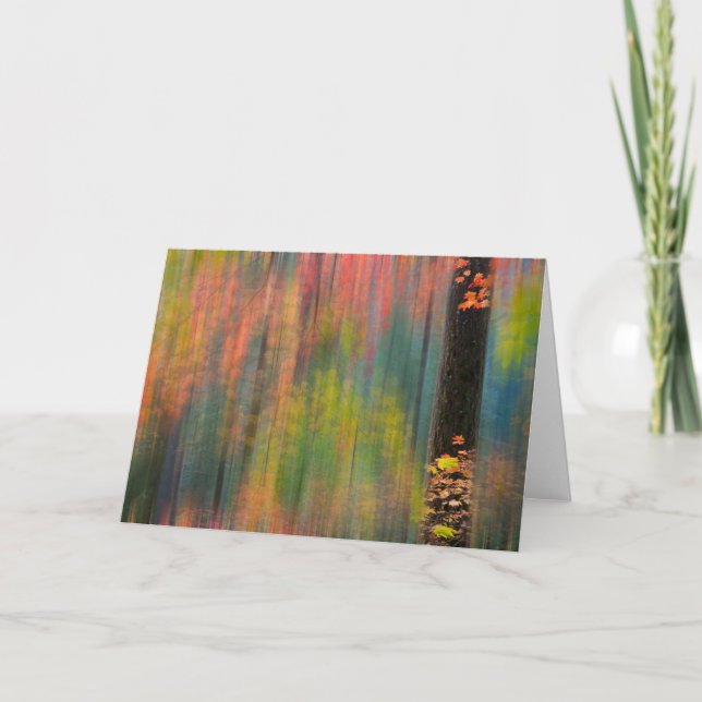 Carte Les érables | Parc d'état de Silver Falls (Devant)