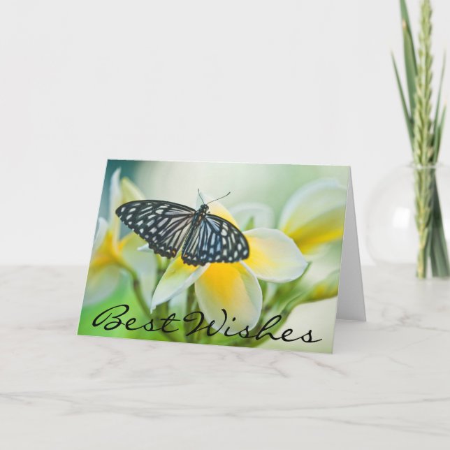 Carte Les Etats-Unis, Pennsylvanie. Papillon de machaon (Devant)