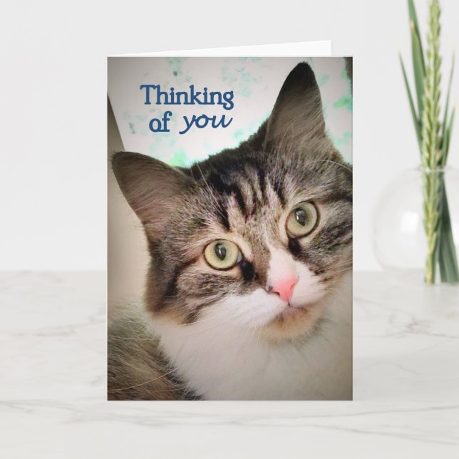 Carte Les expressions douces pensant à vous cardent (Devant)