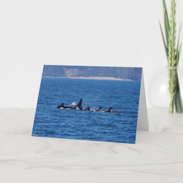 Carte Les familles s'assoient (Devant)