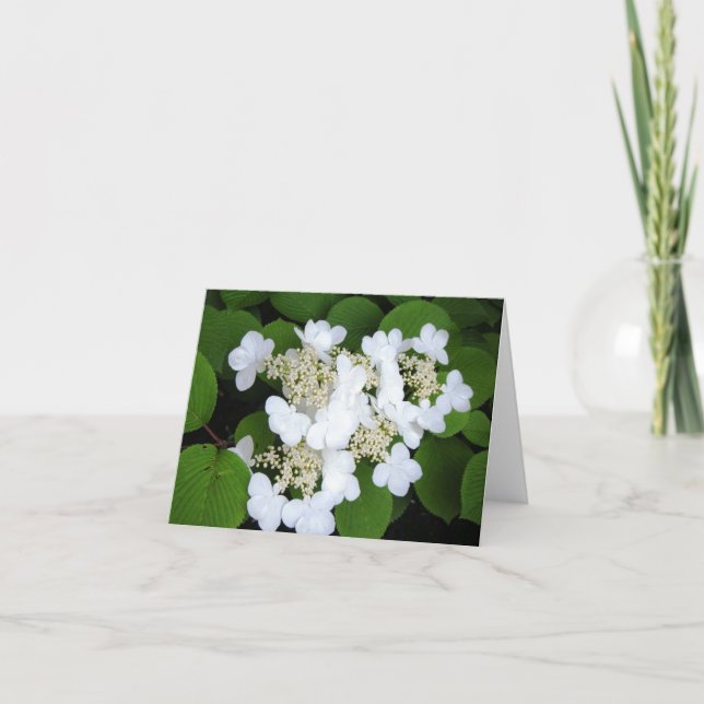 Carte Les "fleurs aiment des papillons " (Devant)