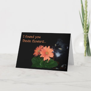 Carte Les Fleurs d'anniversaire du chat