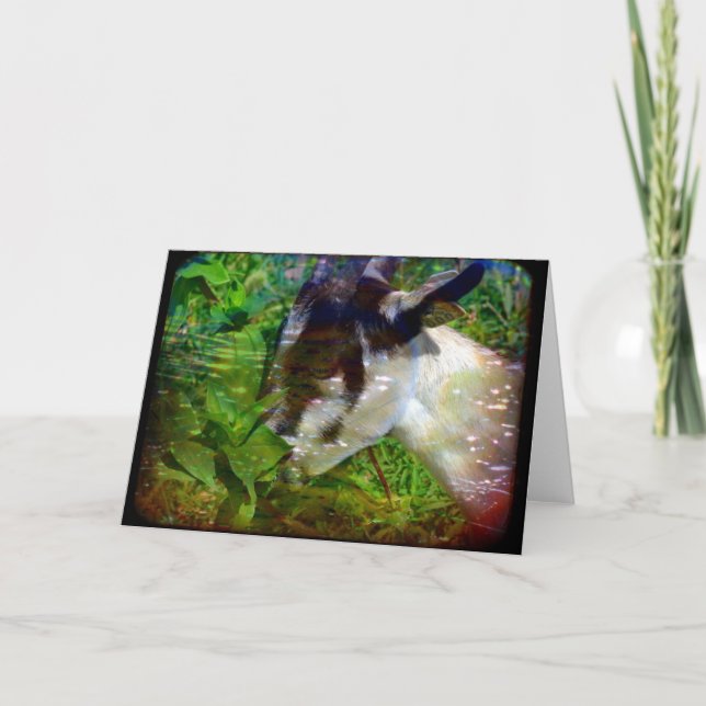 Carte Les fleurs sont aussi de la nourriture (Devant)