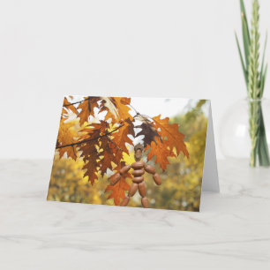 Carte Les grands arbres proviennent de petits glands.