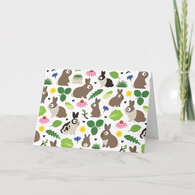 Carte Les lapins Et Leurs Traitements (Devant)