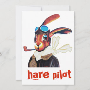 Cartes Pilote D Anniversaire Zazzle Fr