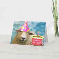 Les Moutons Festifs Vivant Le Rêve Anniversaire