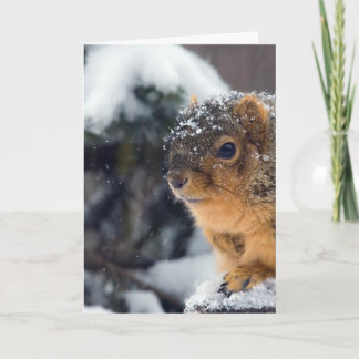 Carte Les noix congelées se portent bien bientôt