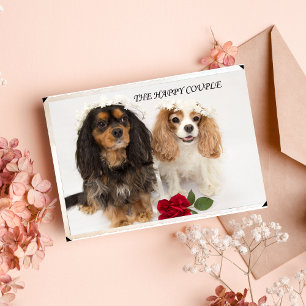 Carte Les Nouvelles Maisons Cavalier Roi Charles Spaniel