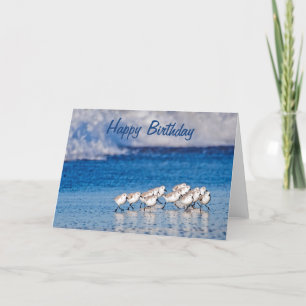 Carte Les oiseaux de plage Joyeux anniversaire