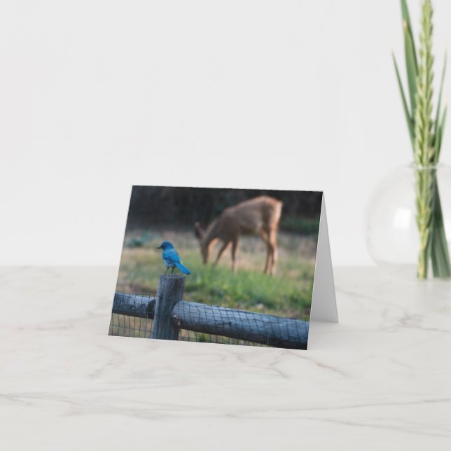 Carte Les oiseaux et les cerfs s'entendent malgré leurs  (Devant)