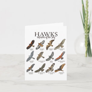 Carte Les Oiseaux Fascinants De Prey - Types De Hawks